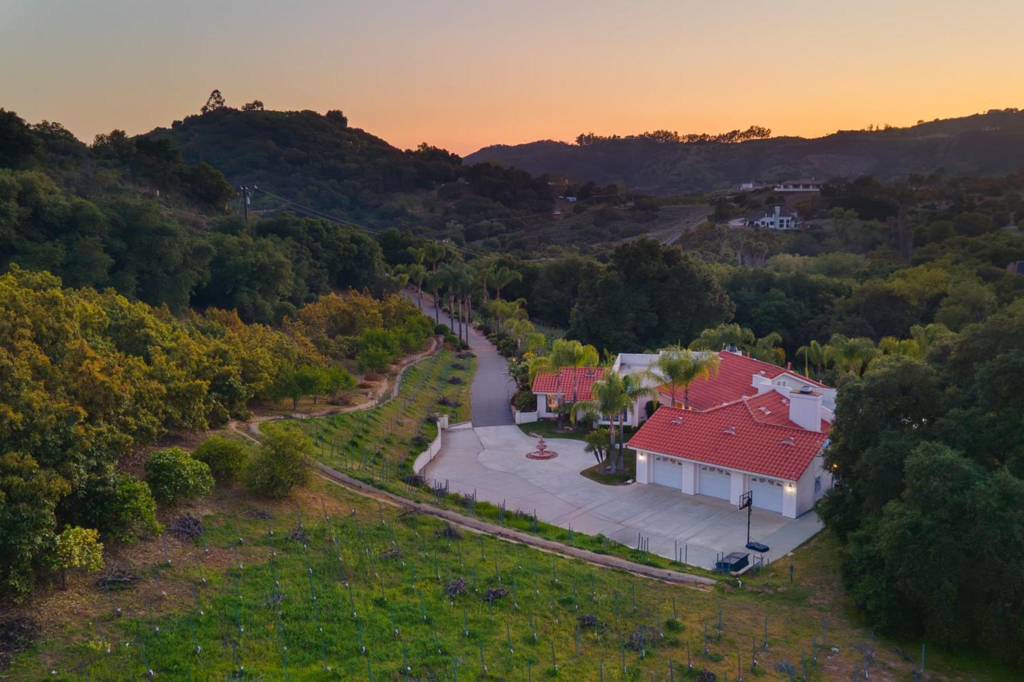 Grapevine By Avantstay Secluded 5Br Villa 4 Acres Of Vineyards Avo Groves Temecula Eksteriør billede